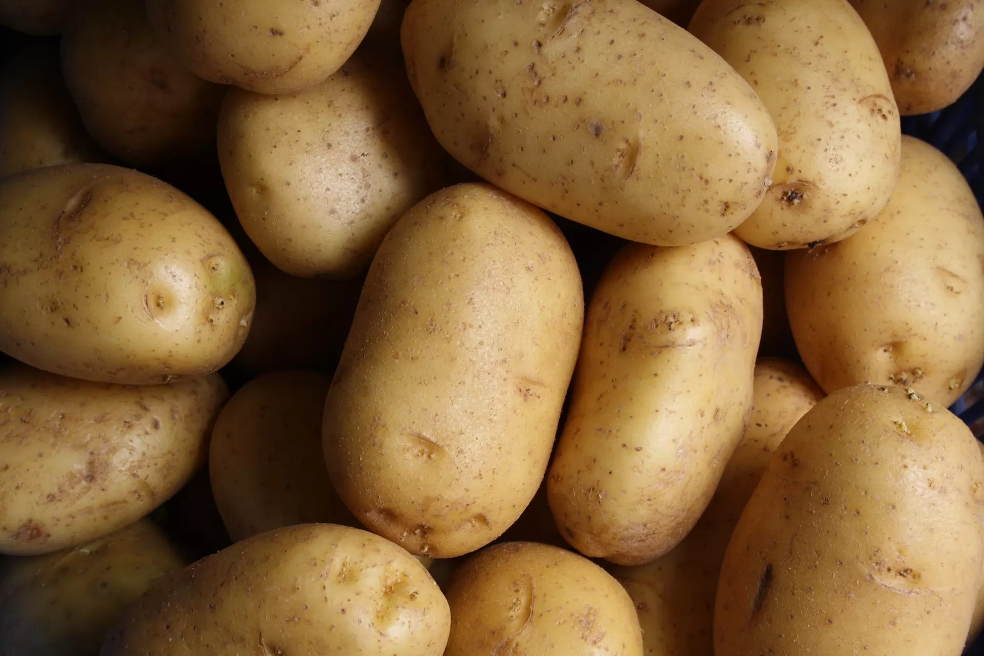 Le marché des pommes de terre