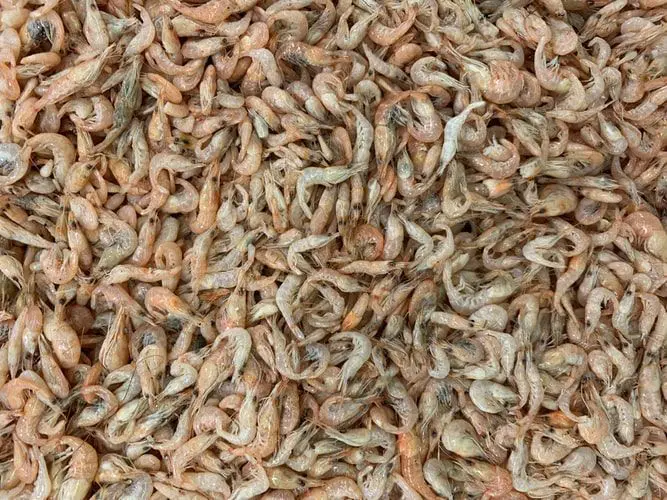 VEND DES CREVETTES SÉCHÉES PROVENANT DU VIETNAM - Vietnam Recherche de  client - Espaceagro