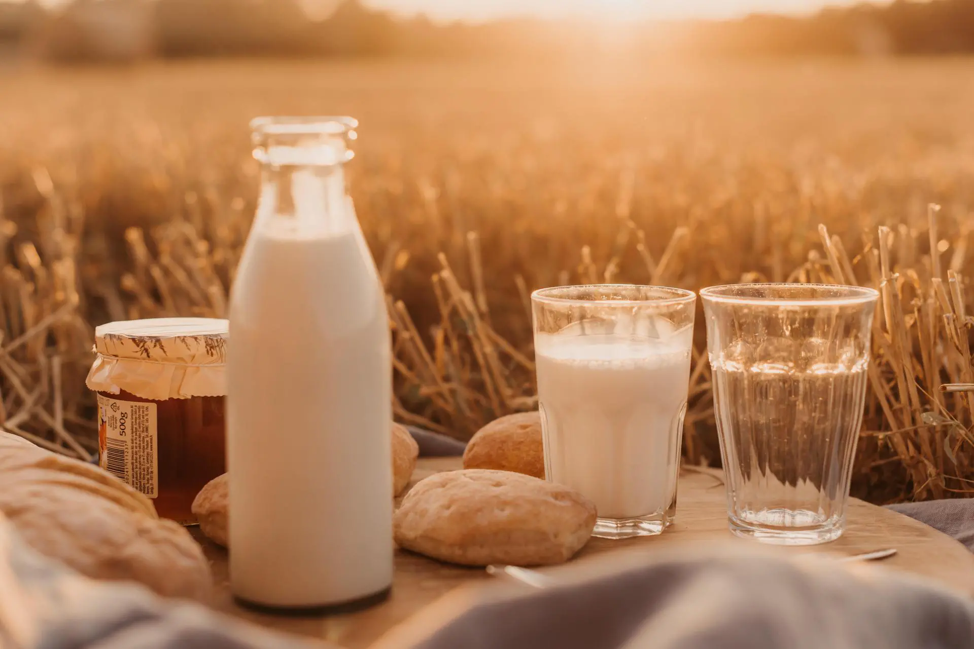 el mercado de la leche