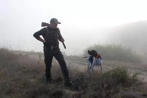 le marché des fusils de chasse