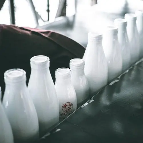 le marché du lait en poudre