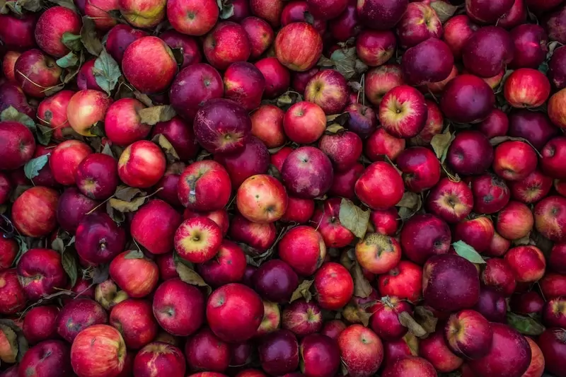 the Cider Market