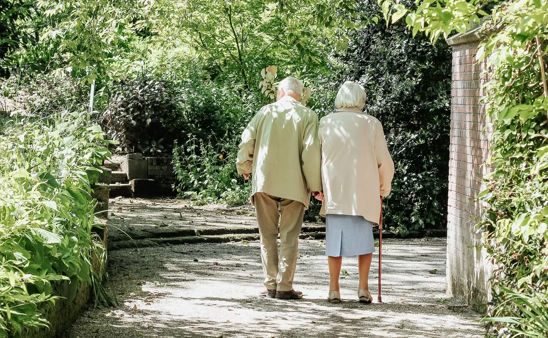 le marché des couches pour adultes