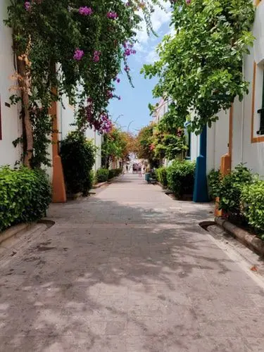 el mercado de la jardinería urbana