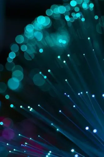 the fibre optic market