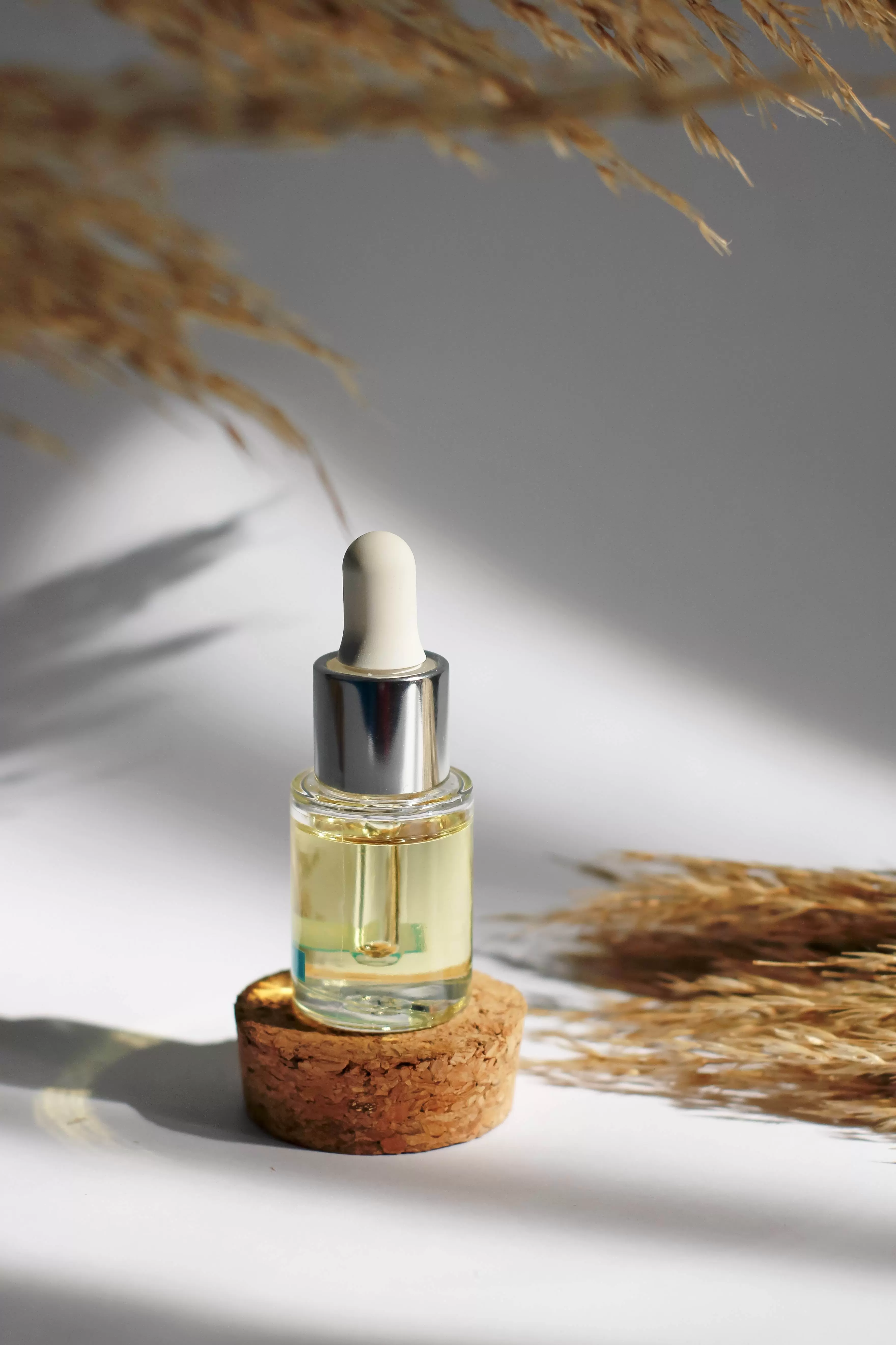 the Organic Cosmetics Market