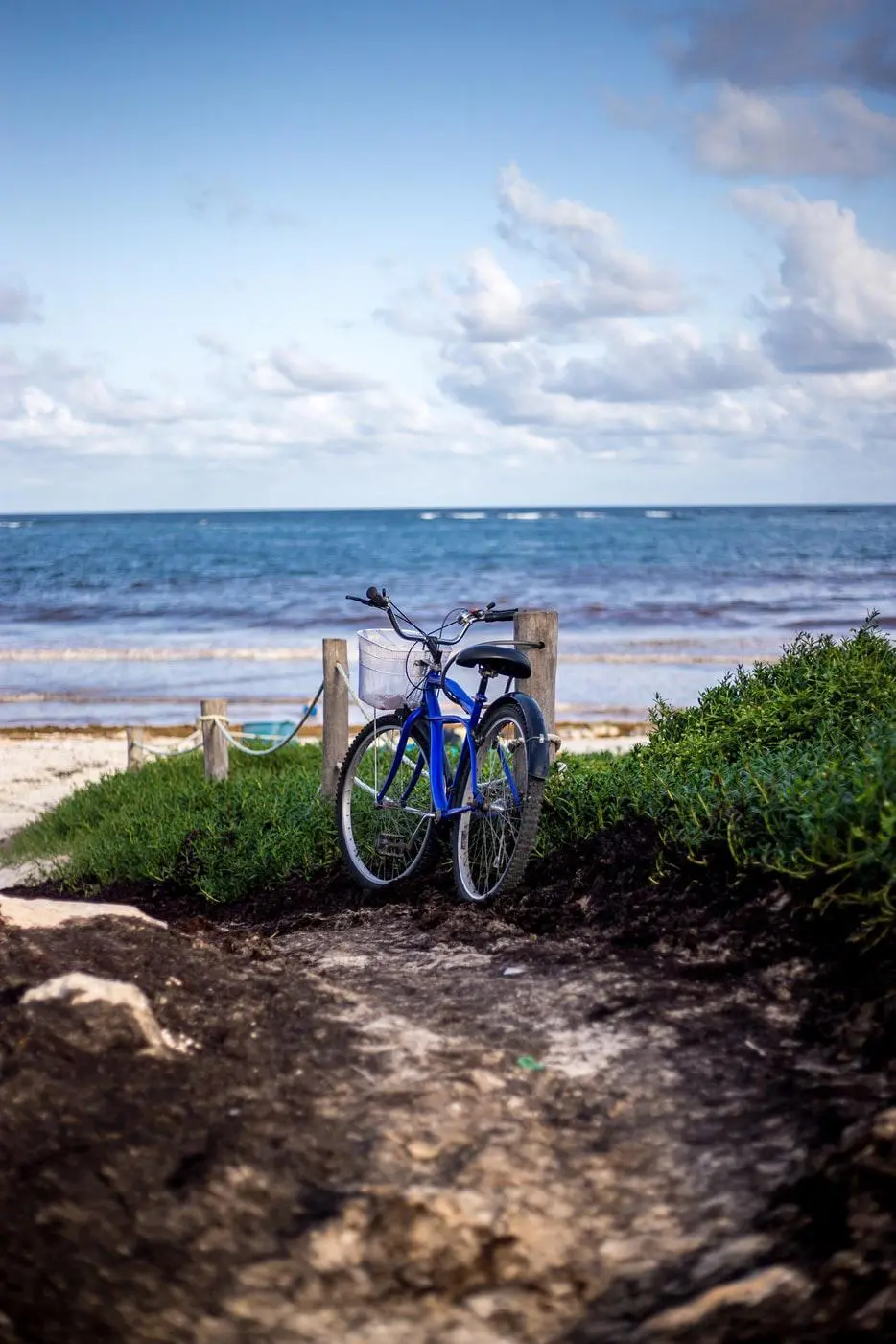 the bicycle tourism market