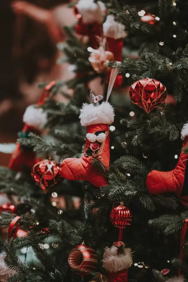 el mercado de árboles de navidad